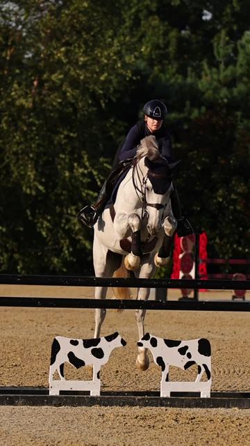 @Dalman Jump Co