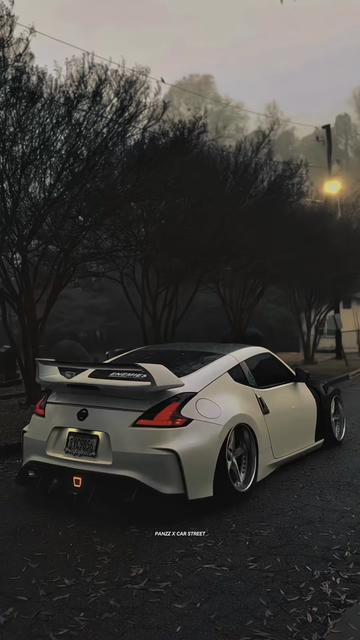 @panzz_fln