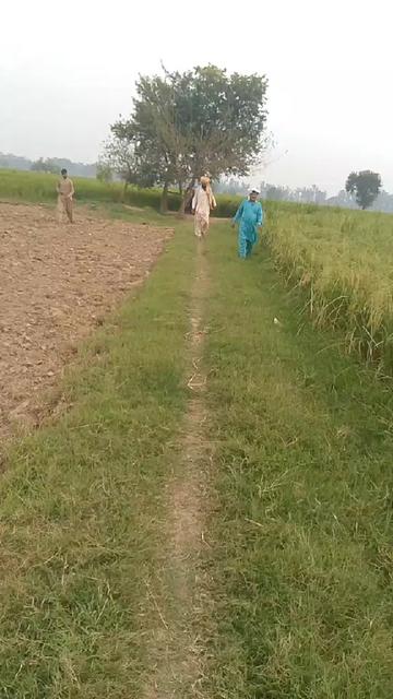 @sajjidwahla1@gmail.com