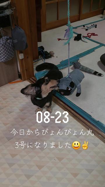 @hiro110