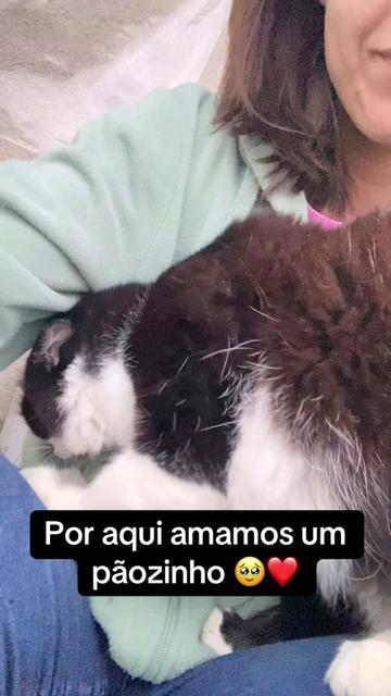 @Karoleos12gatos