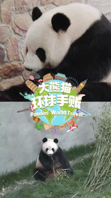 @iPanda