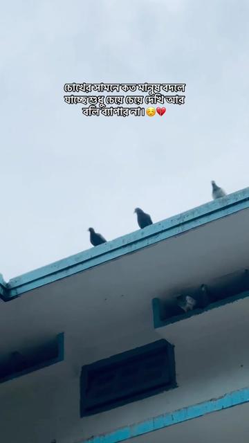 @S đŠ