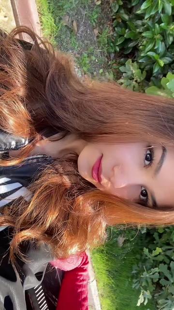 @🐆