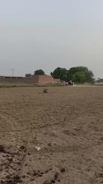 @احمد گل نمبر دار
