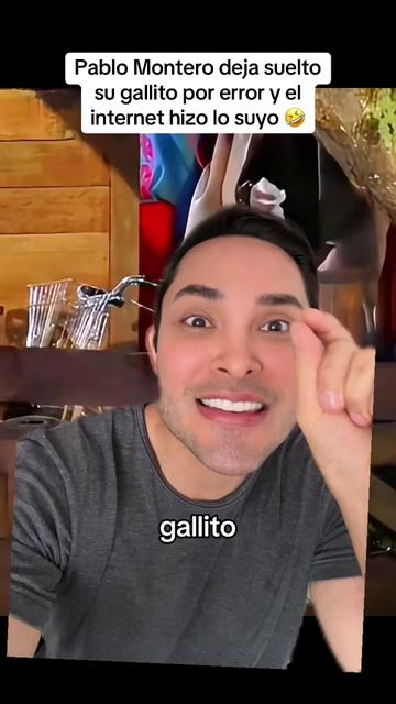 @MAKITO MAKITO🐱