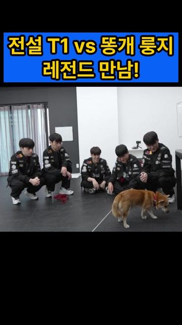 @스타 쇼츠
