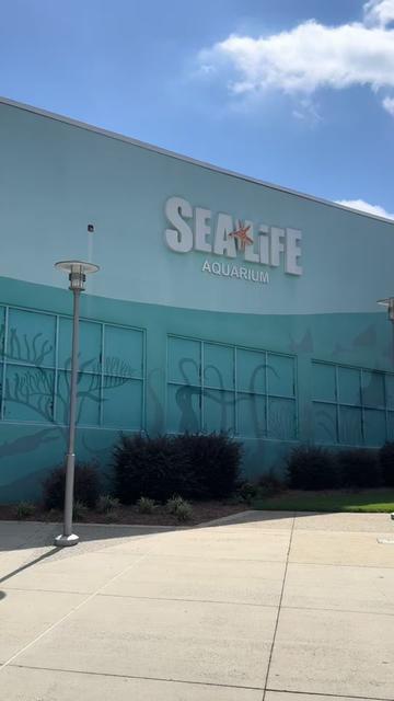 @Jessica Sarver || Girl Mom ||