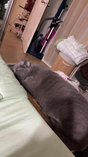 @KIMMY, MOON & YODA