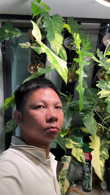 @Huy Kiểng Lá