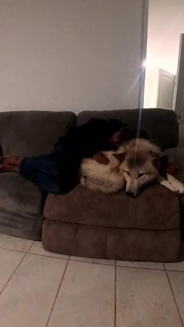 @Neko, Tokahli and Bear