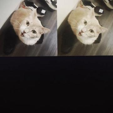 @Audzilla