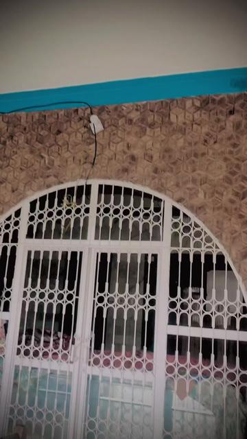 @⎝⎝✧ᴋǟ𐍃ʱίᴋʱǟᶰ✧⎠⎠