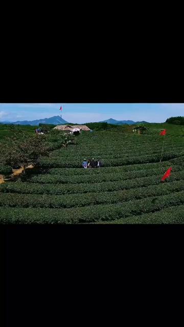 @Ông Nhọn
