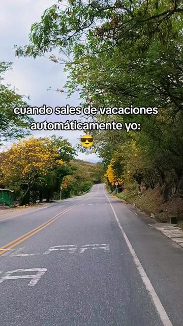 @yuleidy_🎧