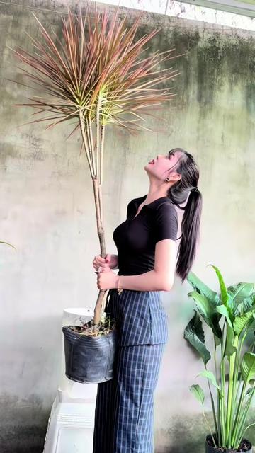 @Tiệm L&aacute; Nhỏ