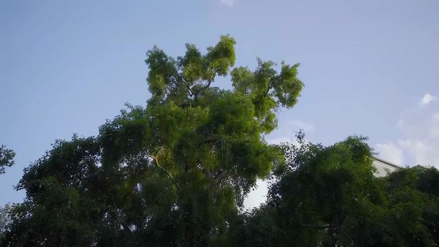 @Stickleꨄ