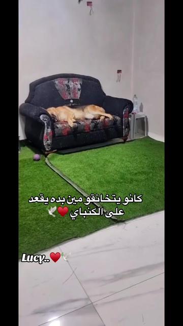 @CAndy-♡