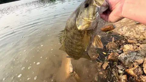 @BABSBIGZ827