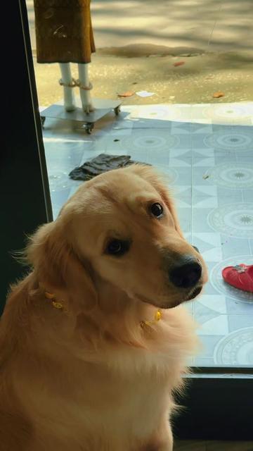 @Nết Nên NaRy