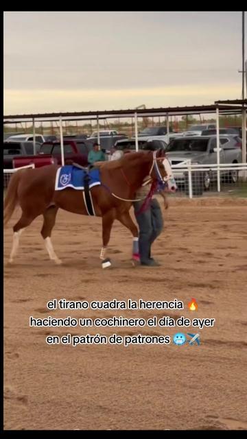 @carriles altos de jalisco🐎