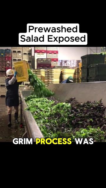 @Seed Truth
