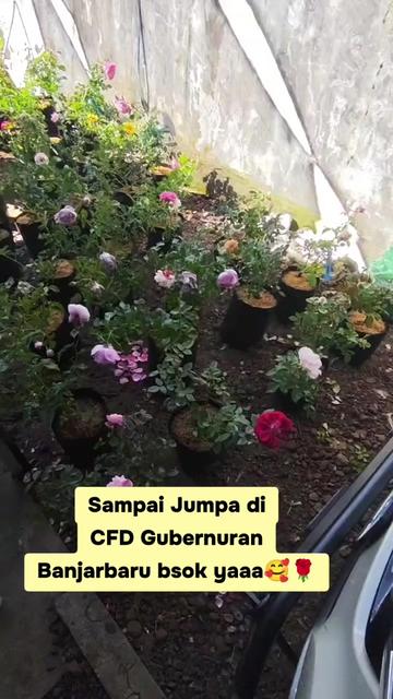 @Prasetya