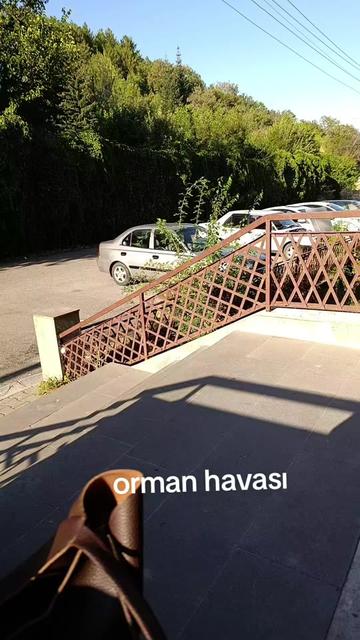 @zalimin kızı 06