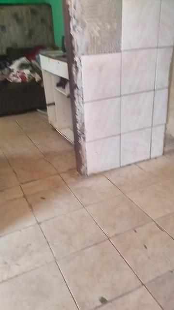 @jovelina.noticias