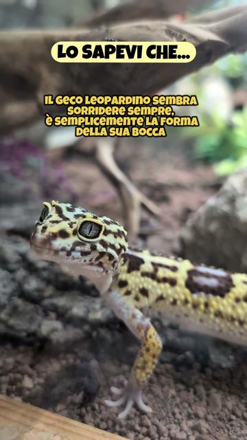 @Parco Zoo delle Star