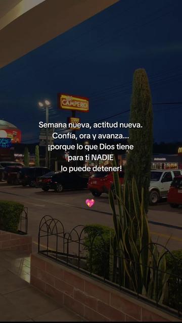 @Linda Cardona 🪼🪐
