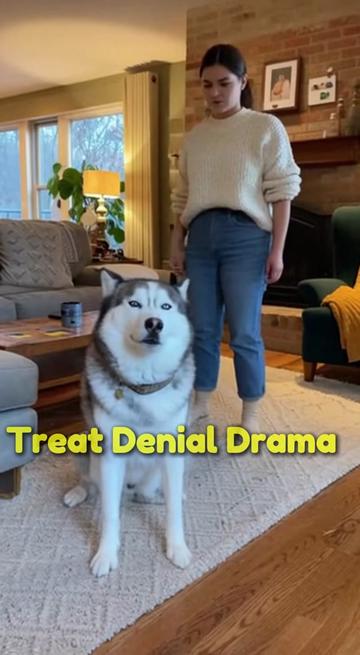 @brainmalfunctiontv