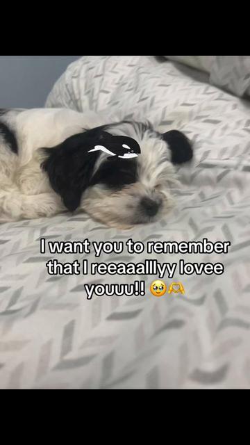 @Jazmyn_cool🫡