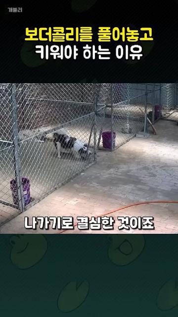 @개블리