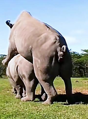@look animals