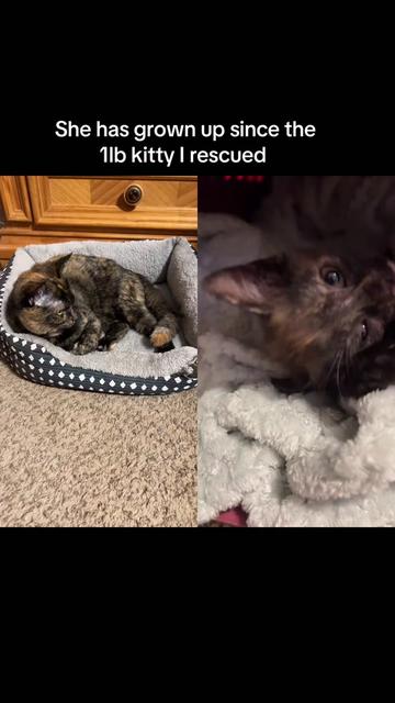 @nana_loves_tiktok