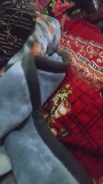 @Bushra786