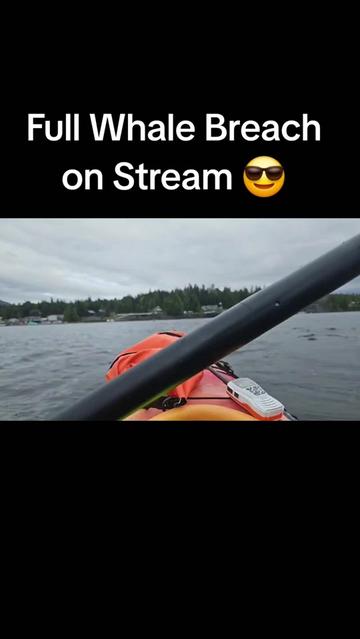 @Twitch:PinkDaddyOfficial
