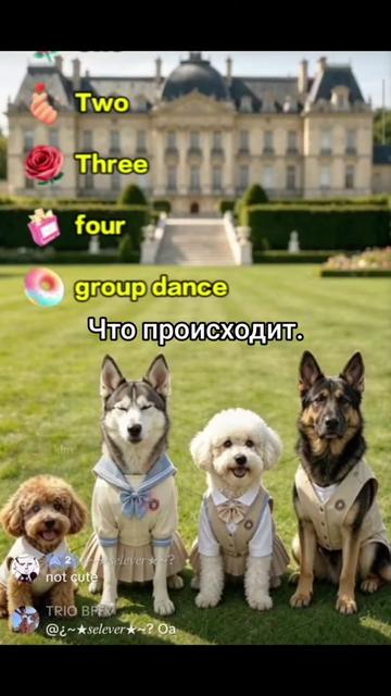 @мутвей