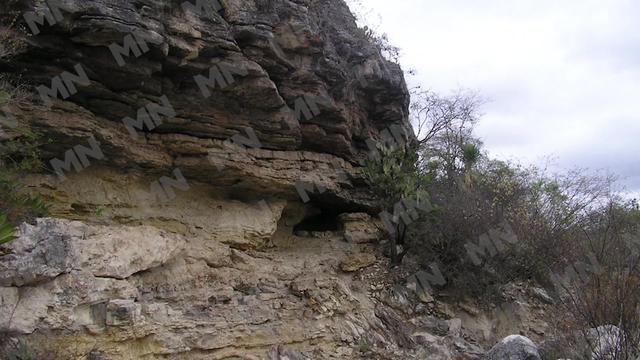 @Meganoticias Tehuacán