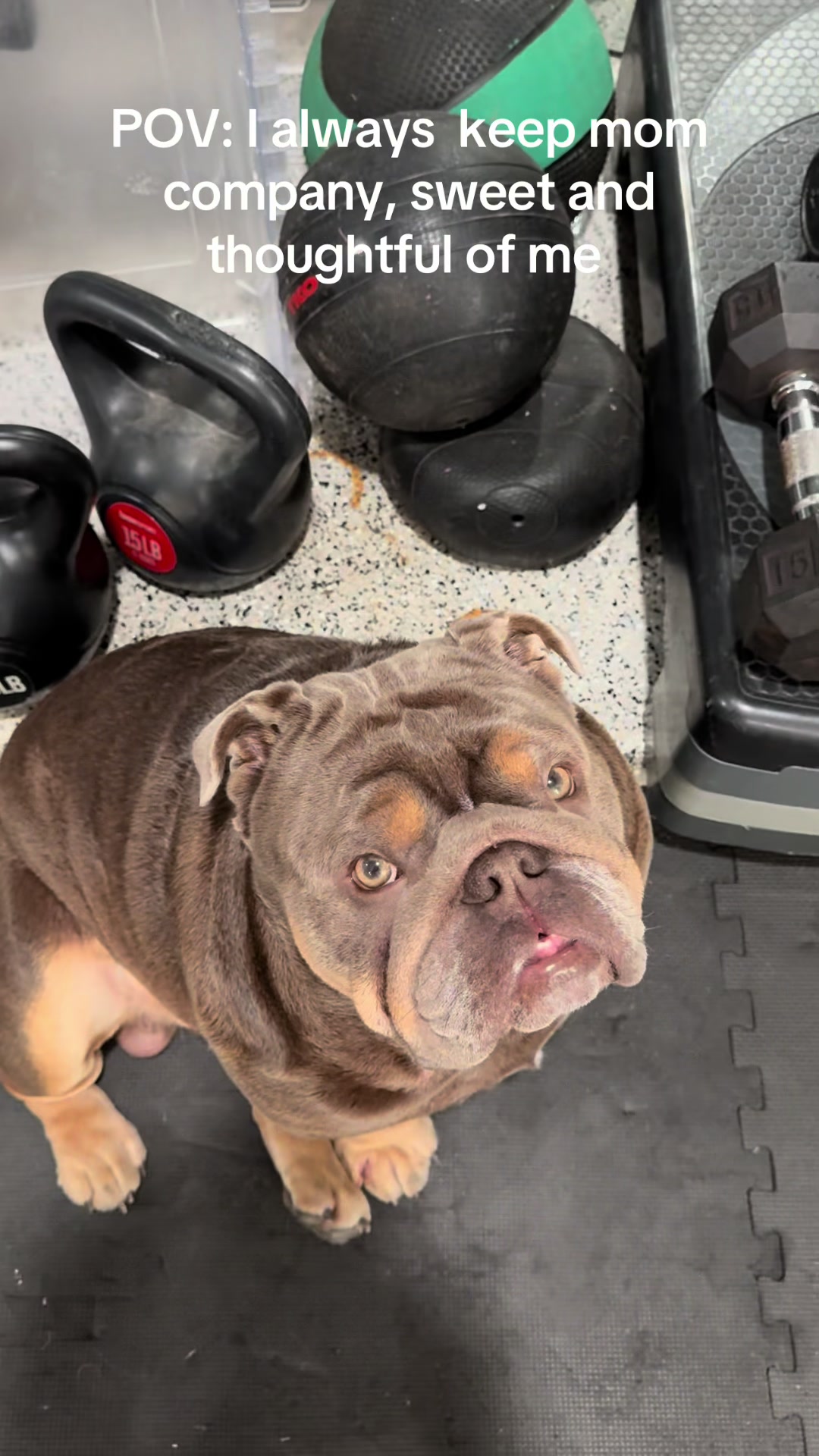 @RawlsTheBulldog