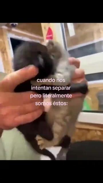 @cris ❄️