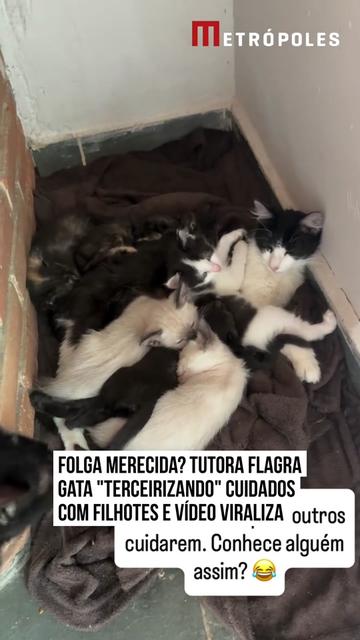 @Metr&oacute;poles Oficial
