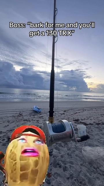 @772SHARKMAFIA
