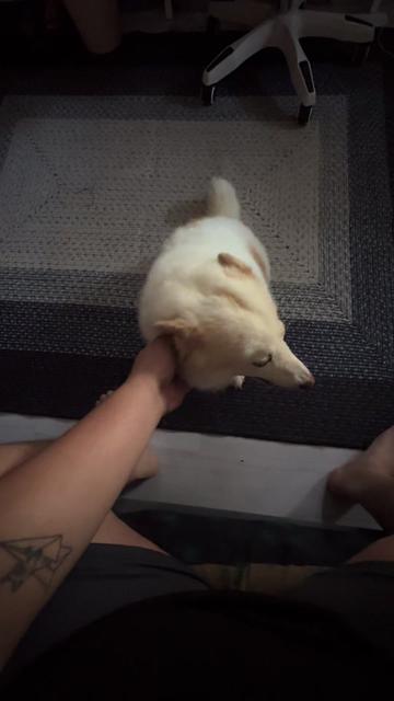 @TheCatFather