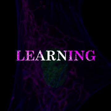 @neuro_glow