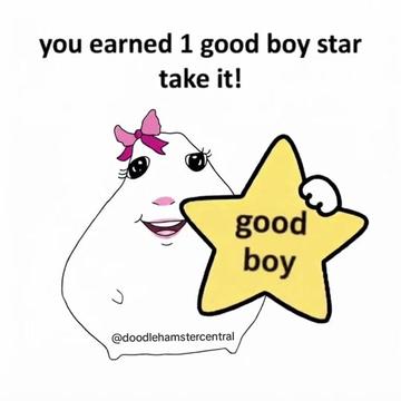 @doodlehamster