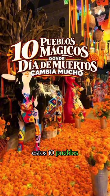 @TravelReportMX