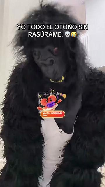 @erfolgriechh