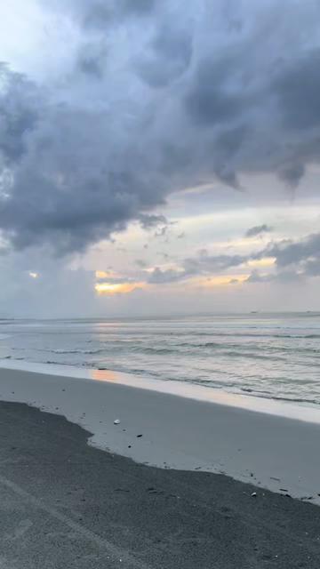 @Whale